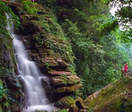 碧峰峽、上里古鎮(zhèn)二日游