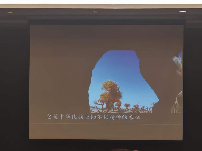 綿陽中旅行假日旅行社舉行胡楊林、南疆專列推薦會